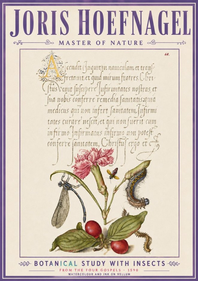 Joris Hoefnagel Botanical Study with Insects No6 - Juliste