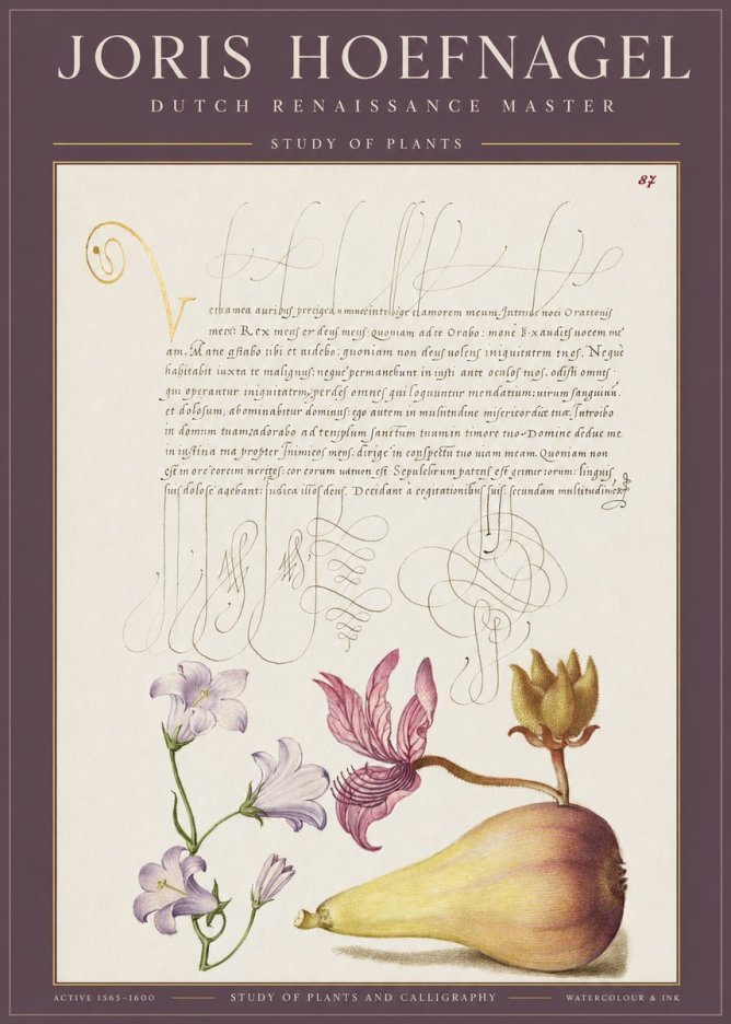 Joris Hoefnagel Study of Plants II No1 - Juliste