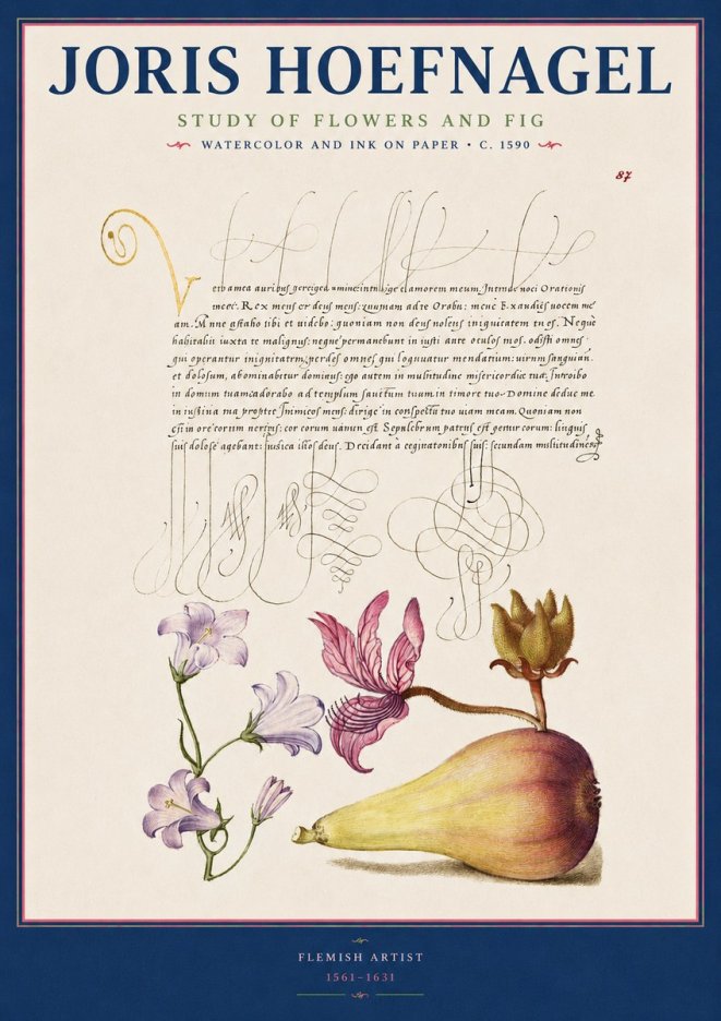 Joris Hoefnagel Study of Plants II No3 - Juliste