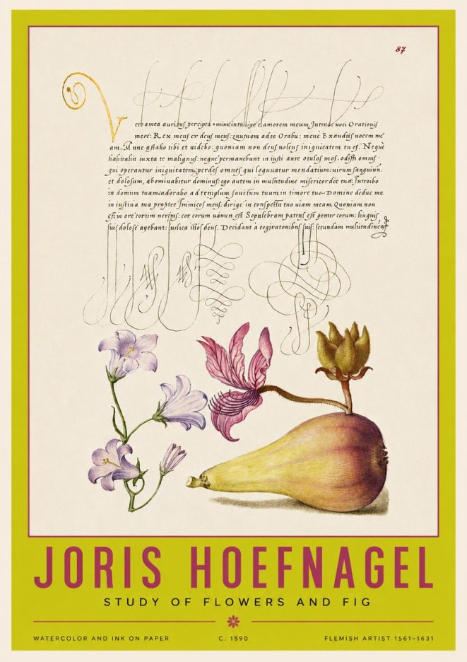 Joris Hoefnagel Study of Plants II No4 - Juliste
