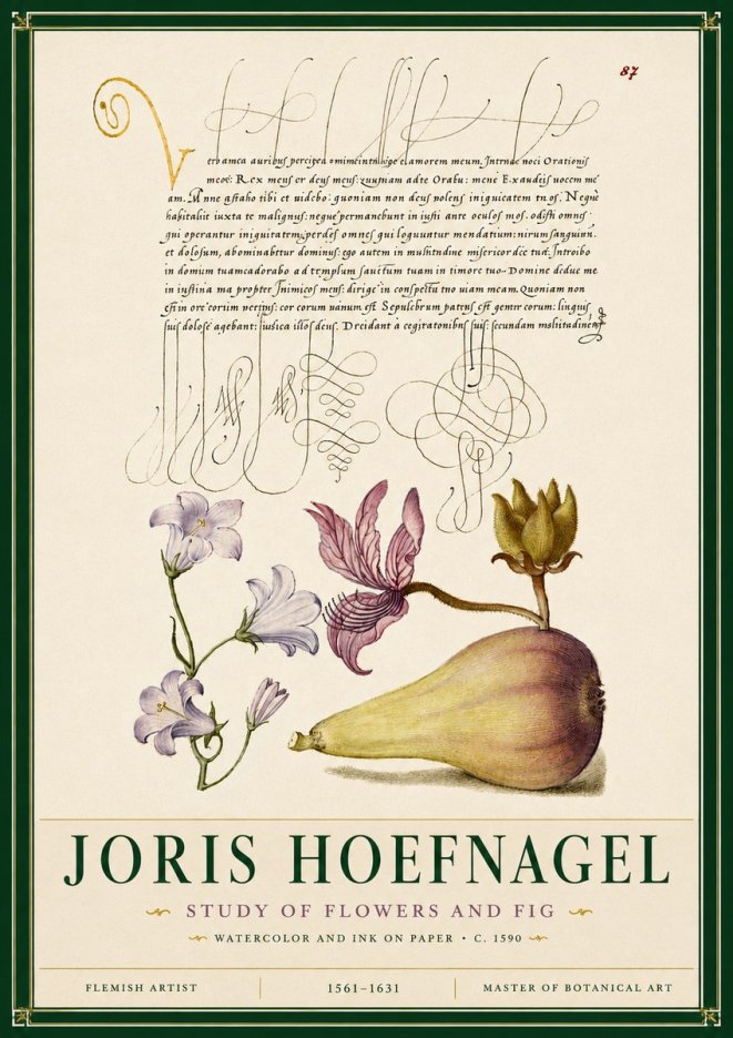 Joris Hoefnagel Study of Plants II No6 - Juliste