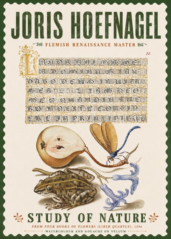 Joris Hoefnagel Study of Nature II No6 - Juliste