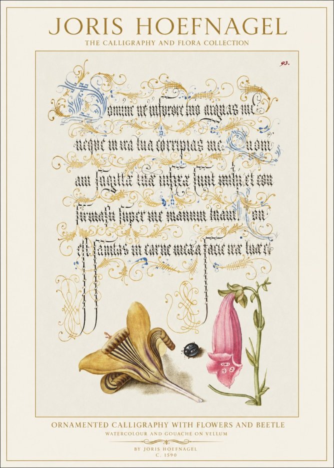 Joris Hoefnagel Ornamented Calligraphy with Flowers and Beetle No1 - Juliste