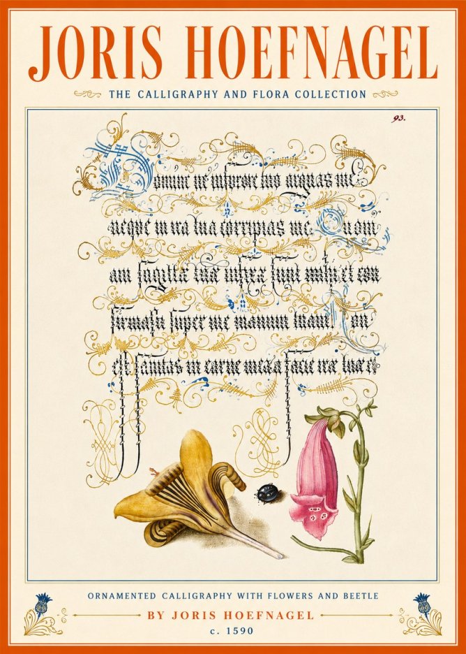 Joris Hoefnagel Ornamented Calligraphy with Flowers and Beetle No5 - Juliste