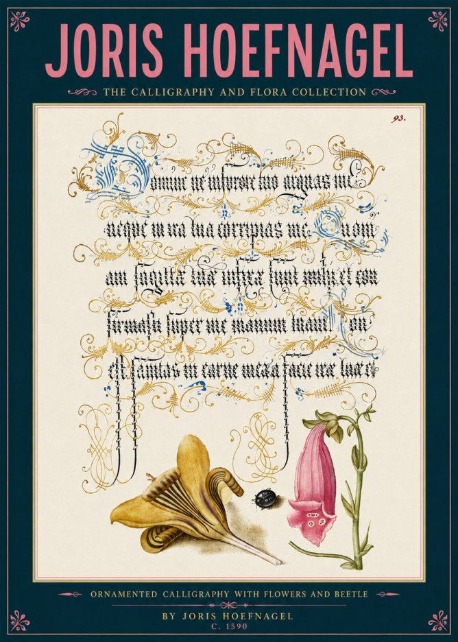 Joris Hoefnagel Ornamented Calligraphy with Flowers and Beetle No6 - Juliste