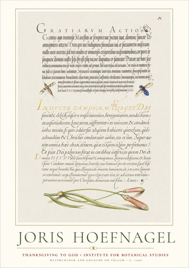 Joris Hoefnagel Thanksgiving to God • Institute for Botanical Studies No1 - Juliste