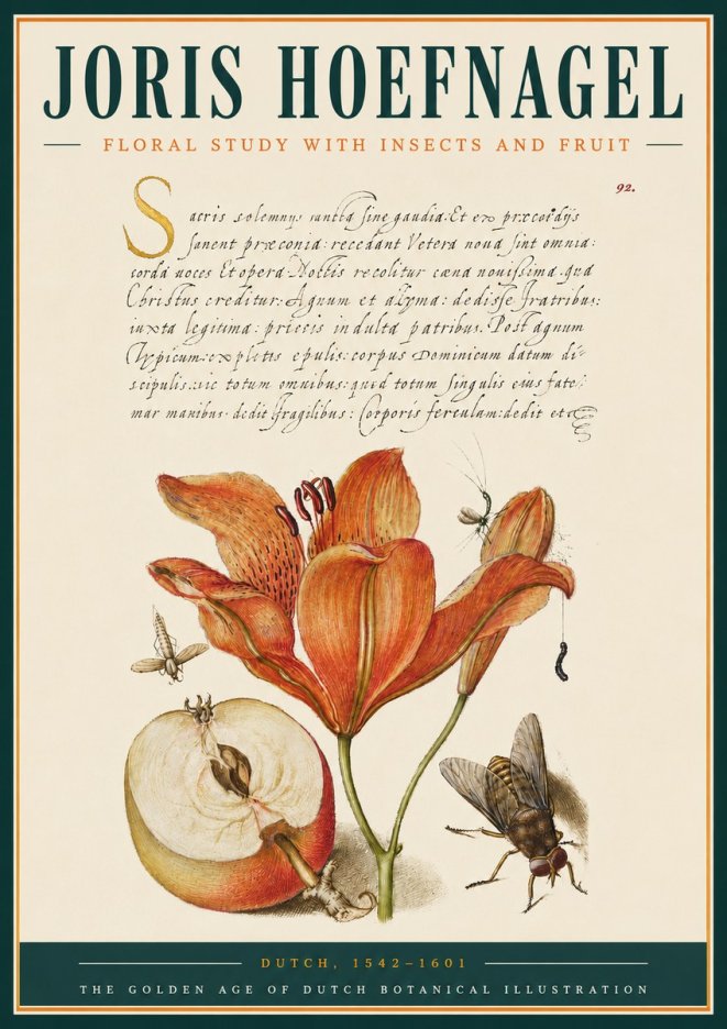 Joris Hoefnagel Floral Study with Insects and Fruit No3 - Juliste