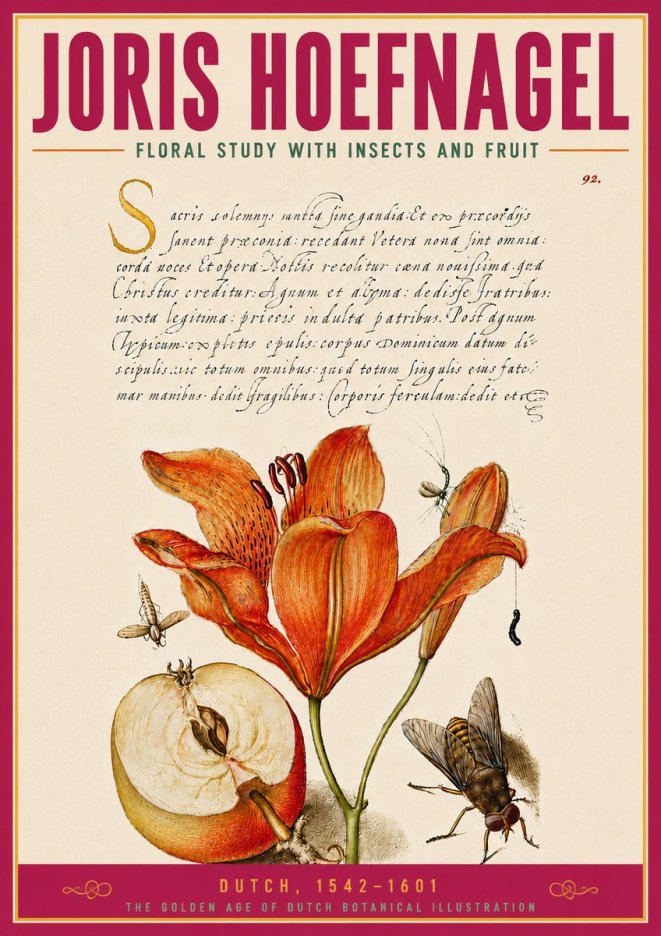 Joris Hoefnagel Floral Study with Insects and Fruit No5 - Juliste