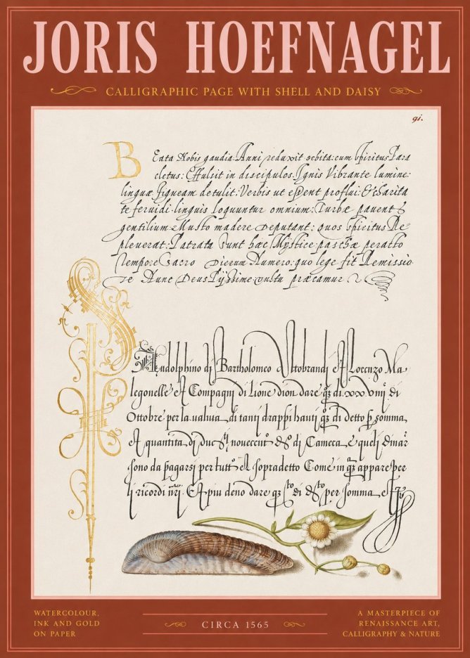 Joris Hoefnagel Calligraphic Page with Shell and Daisy No2 - Juliste