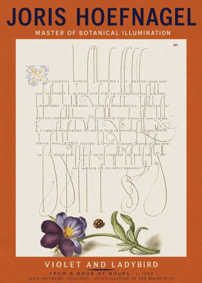 Joris Hoefnagel Violet and Ladybird No2 - Juliste