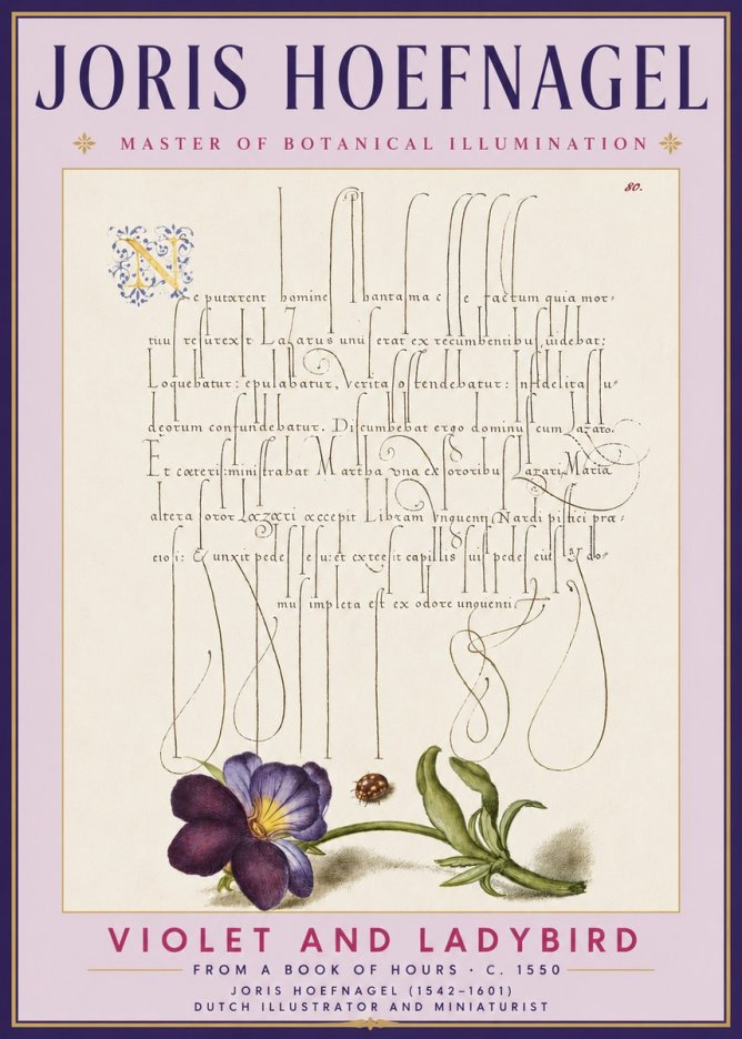 Joris Hoefnagel Violet and Ladybird No3 - Juliste