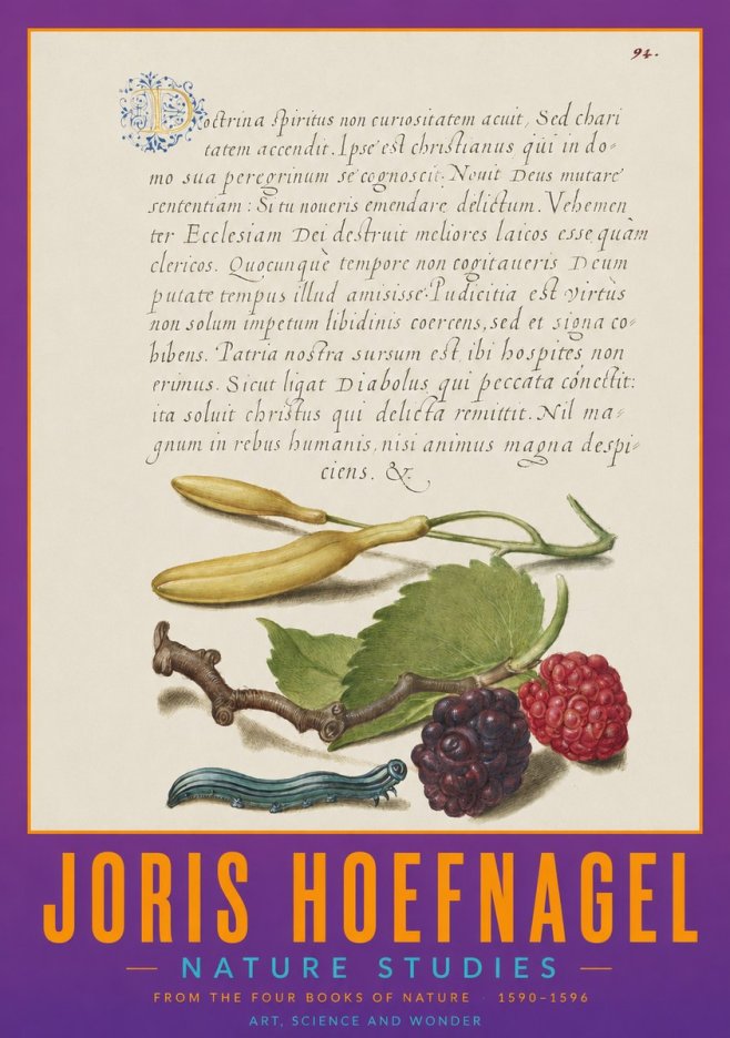 Joris Hoefnagel Nature Studies No2 - Juliste