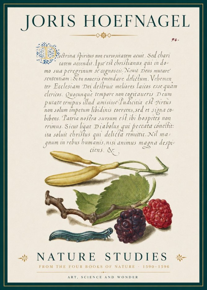 Joris Hoefnagel Nature Studies No3 - Juliste