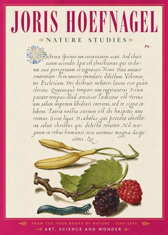 Joris Hoefnagel Nature Studies No6 - Juliste