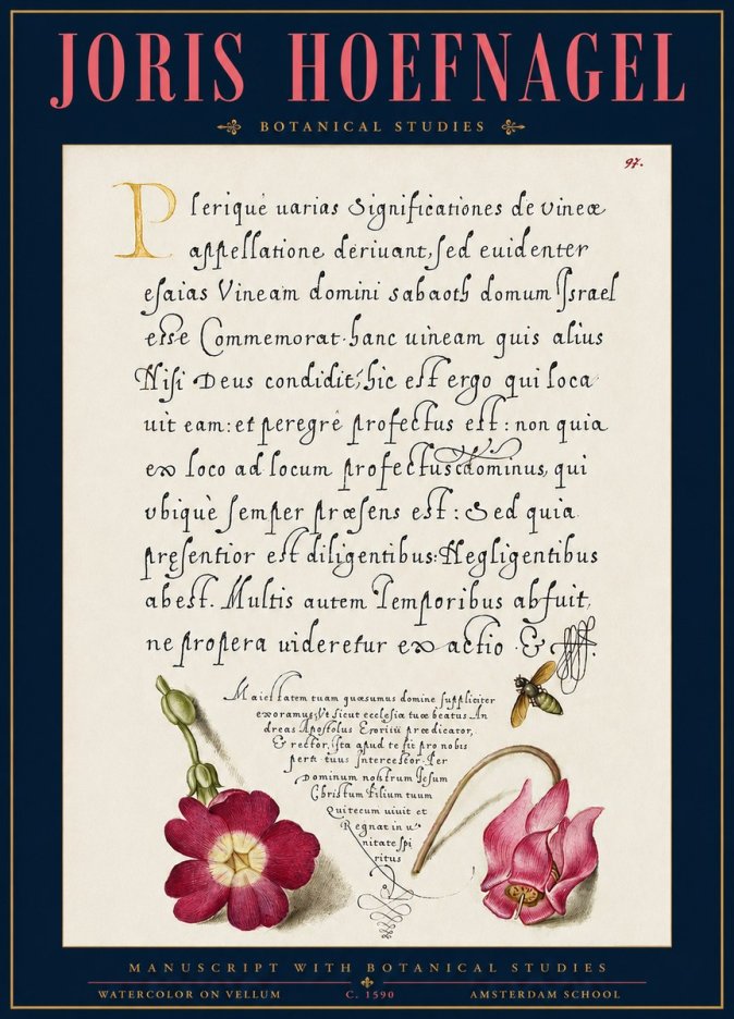 Joris Hoefnagel Manuscript with Botanical Studies No3 - Juliste