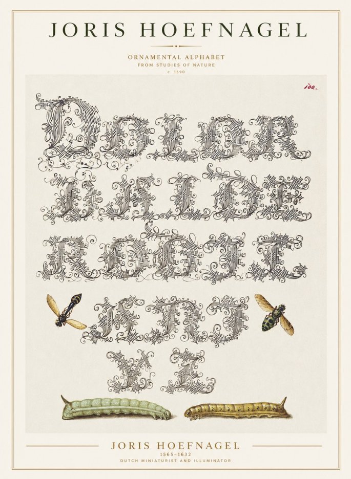 Joris Hoefnagel Ornamental Alphabet from Studies of Nature No1 - Juliste