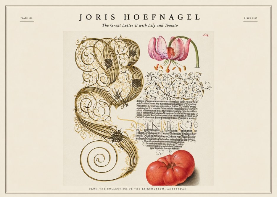 Joris Hoefnagel The Great Letter B with Lily and Tomato No1 - Juliste