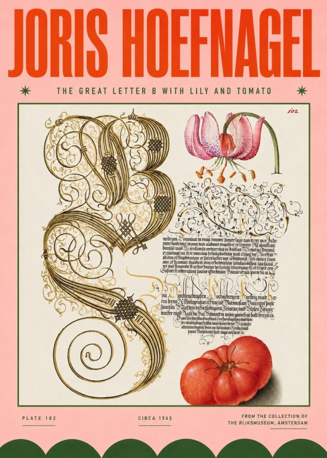 Joris Hoefnagel The Great Letter B with Lily and Tomato No4 - Juliste