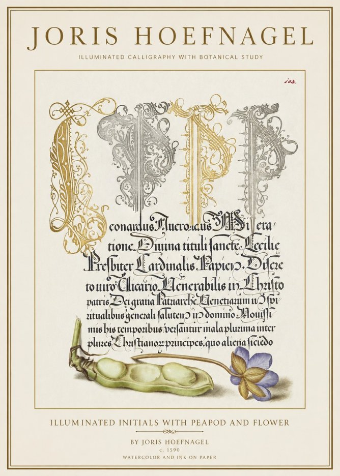 Joris Hoefnagel Illuminated Initials with Peapod and Flower No1 - Juliste