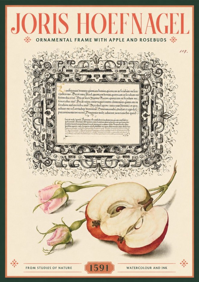 Joris Hoefnagel Illuminated Calligraphy and Botanical Study No3 - Juliste