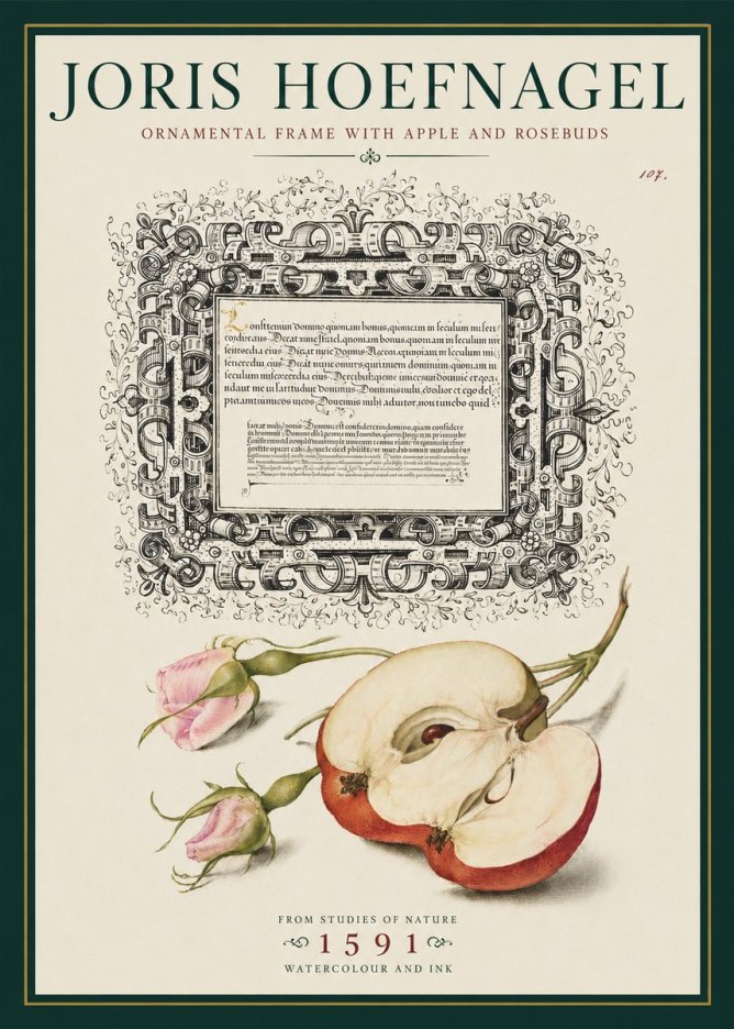 Joris Hoefnagel Illuminated Calligraphy and Botanical Study No5 - Juliste