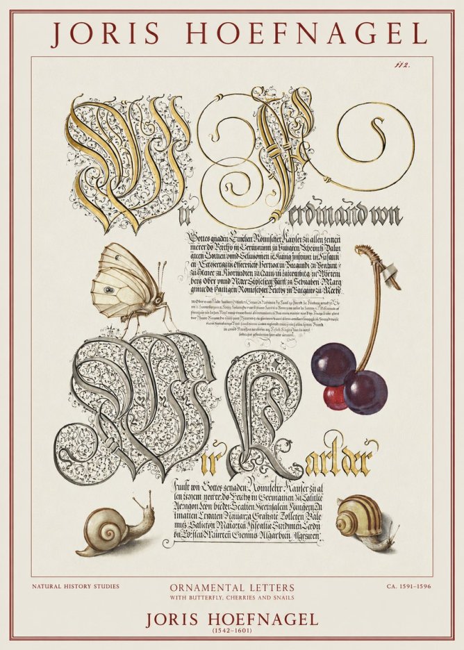 Joris Hoefnagel Ornamental Letters with Butterfly, Cherries and Snails No1 - Juliste