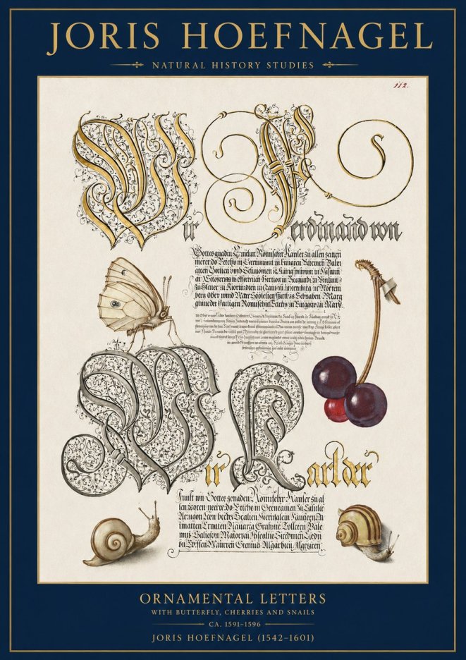 Joris Hoefnagel Ornamental Letters with Butterfly, Cherries and Snails No2 - Juliste