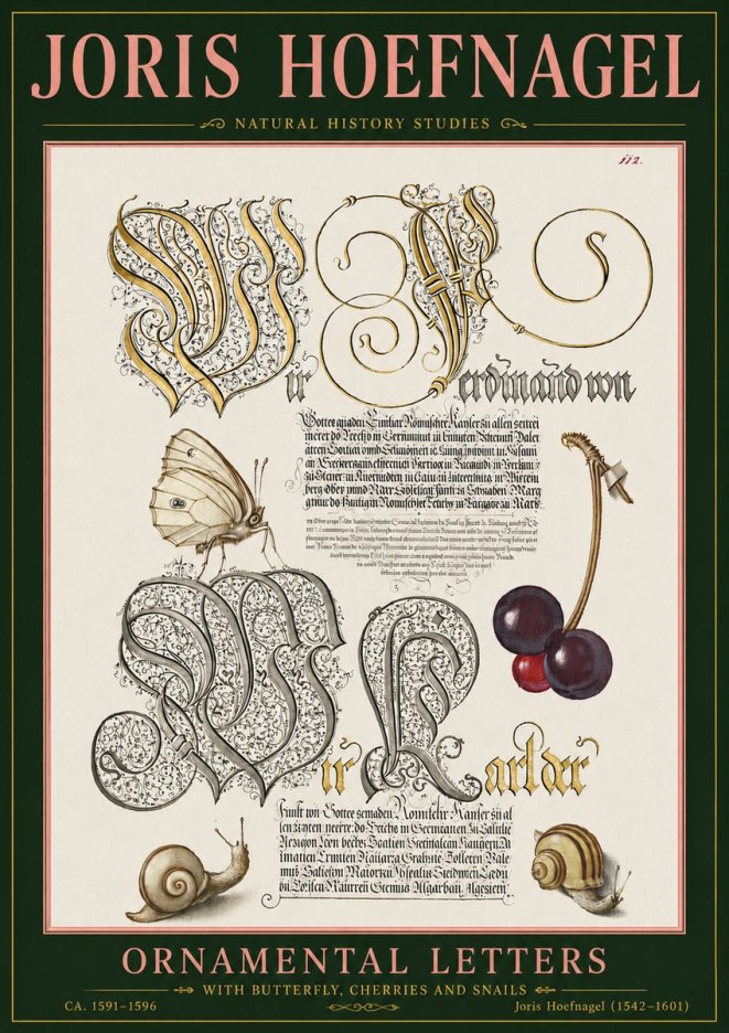 Joris Hoefnagel Ornamental Letters with Butterfly, Cherries and Snails No5 - Juliste