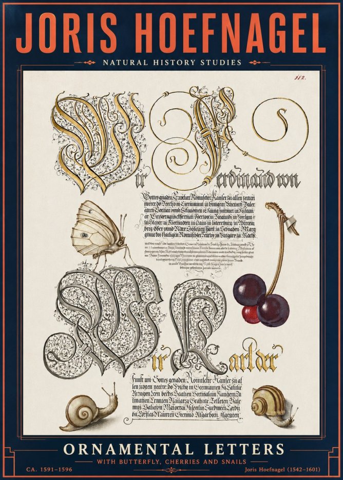 Joris Hoefnagel Ornamental Letters with Butterfly, Cherries and Snails No6 - Juliste
