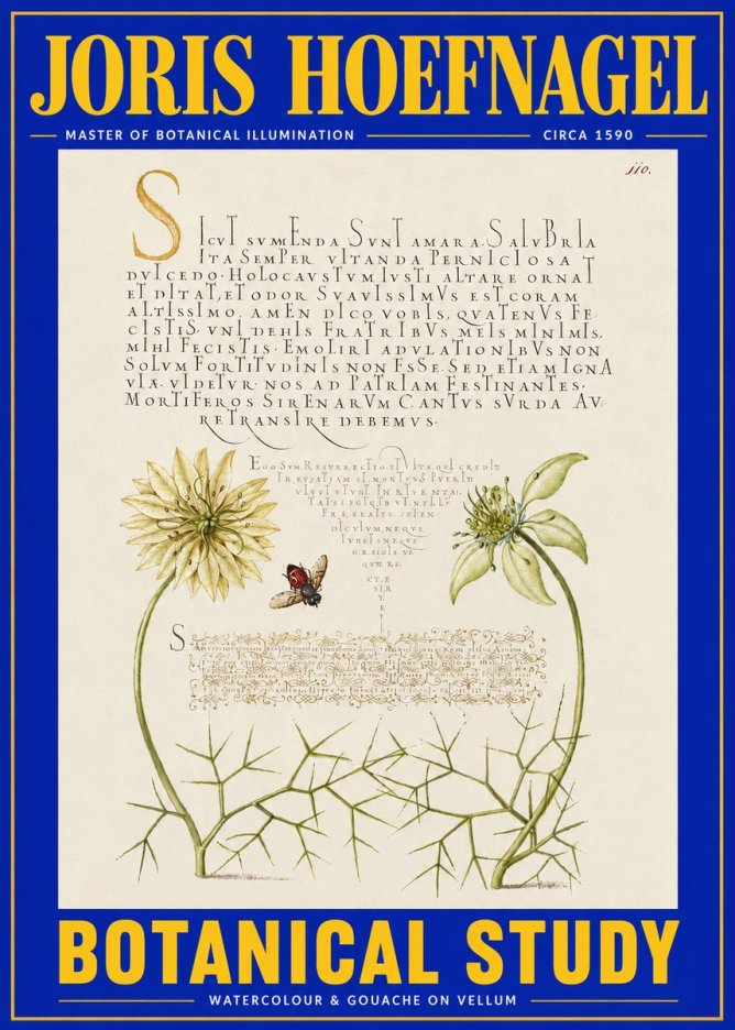 Joris Hoefnagel Botanical Study with Insect No4 - Juliste