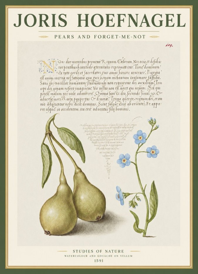 Joris Hoefnagel Pears and Forget-me-not No1 - Juliste