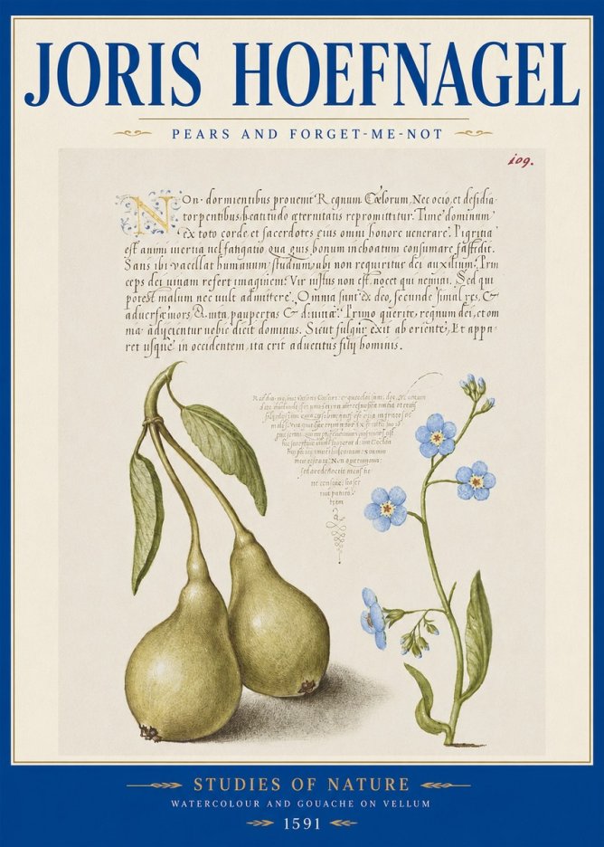Joris Hoefnagel Pears and Forget-me-not No2 - Juliste
