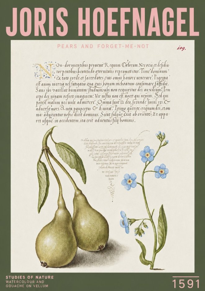 Joris Hoefnagel Pears and Forget-me-not No3 - Juliste