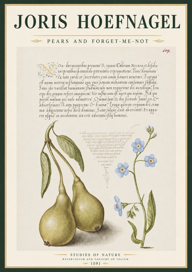 Joris Hoefnagel Pears and Forget-me-not No4 - Juliste