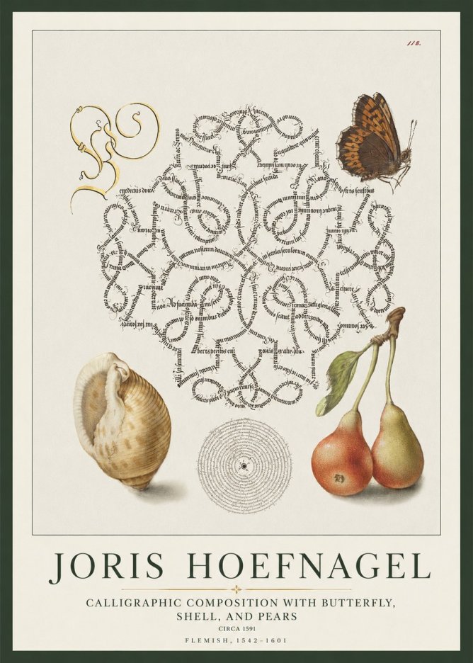 Joris Hoefnagel Calligraphic Composition with Butterfly, Shell, and Pears No1 - Juliste