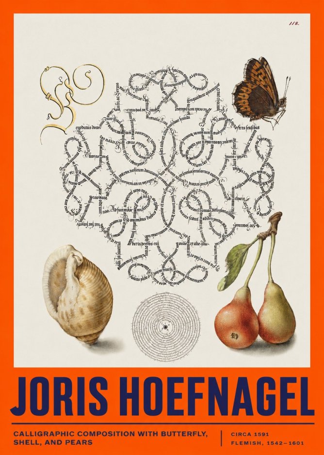 Joris Hoefnagel Calligraphic Composition with Butterfly, Shell, and Pears No2 - Juliste