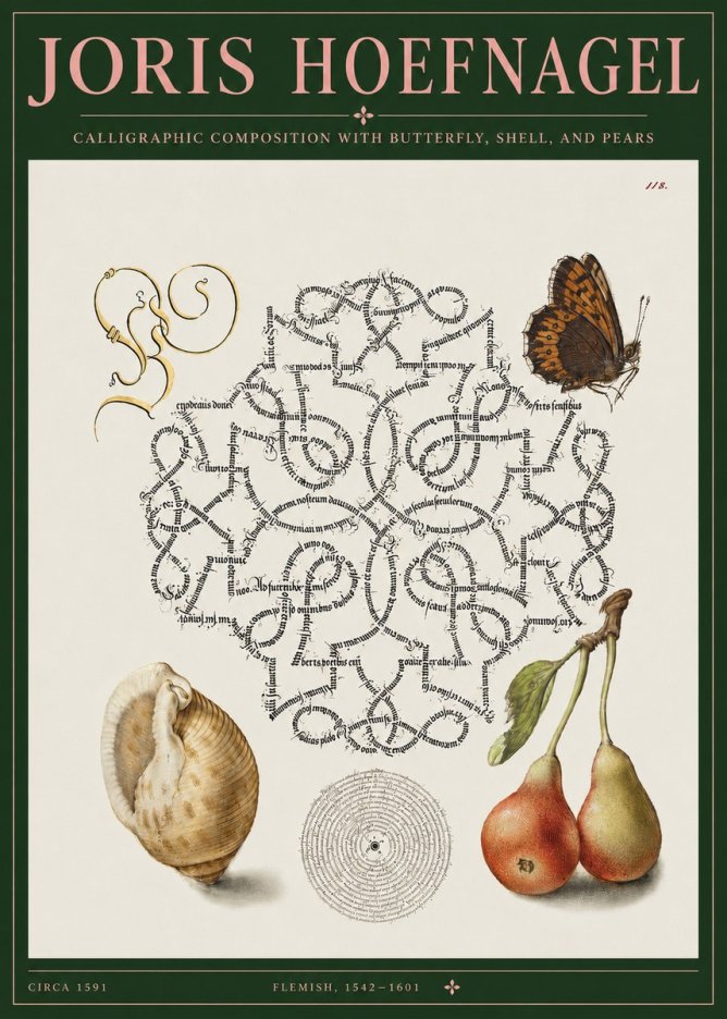 Joris Hoefnagel Calligraphic Composition with Butterfly, Shell, and Pears No3 - Juliste