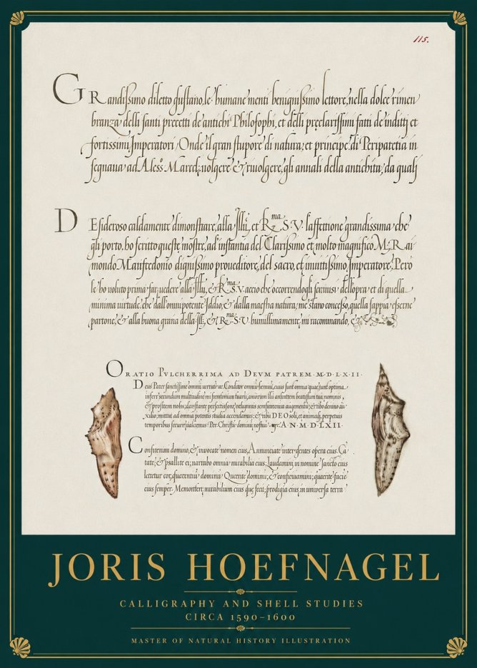 Joris Hoefnagel Study of Shells and Calligraphy No4 - Juliste