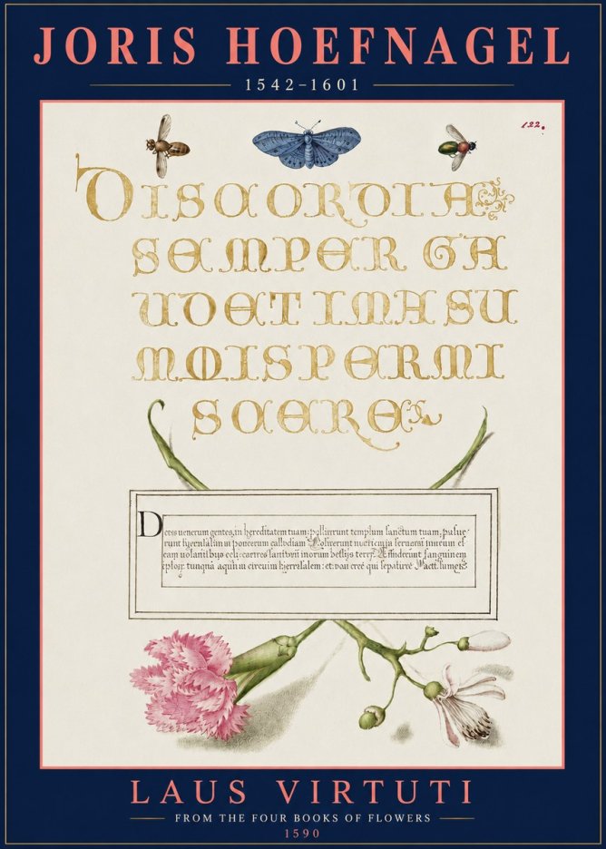 Joris Hoefnagel Laus Virtuti No3 - Juliste
