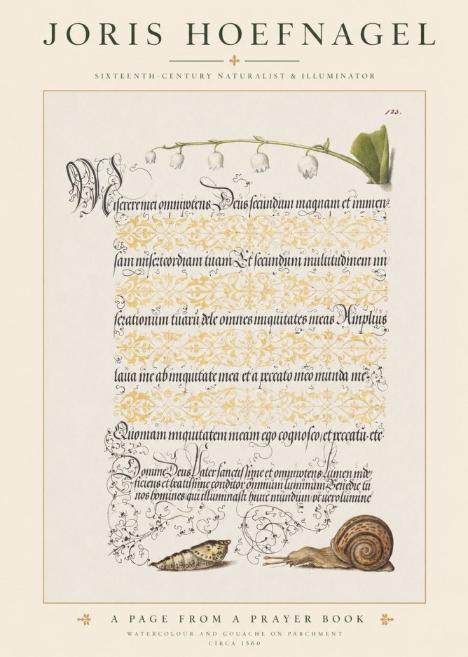 Joris Hoefnagel Lily of the Valley, Snail and Caterpillar No6 - Juliste