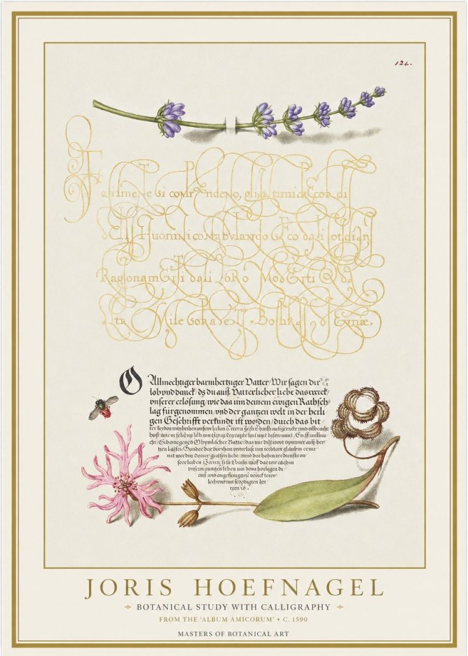 Joris Hoefnagel Botanical Study with Calligraphy IV No1 - Juliste