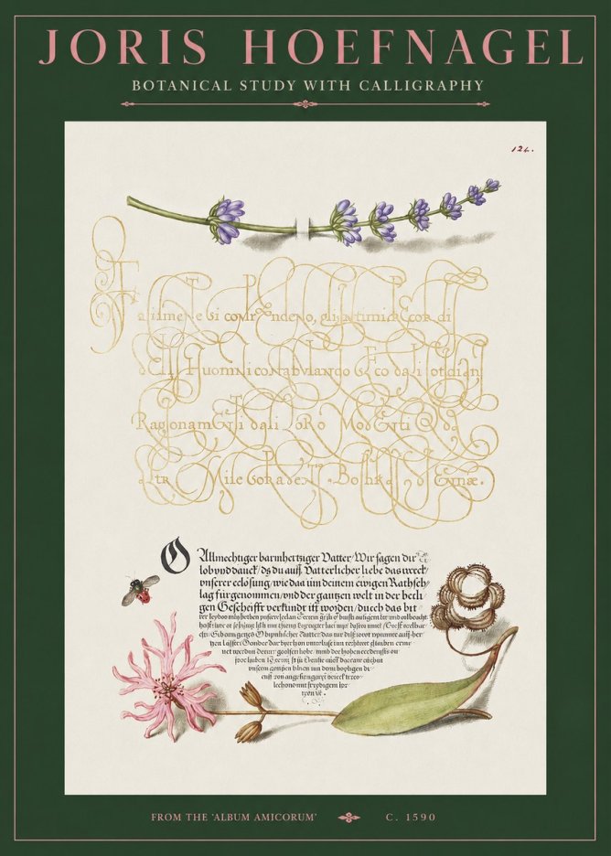 Joris Hoefnagel Botanical Study with Calligraphy IV No2 - Juliste
