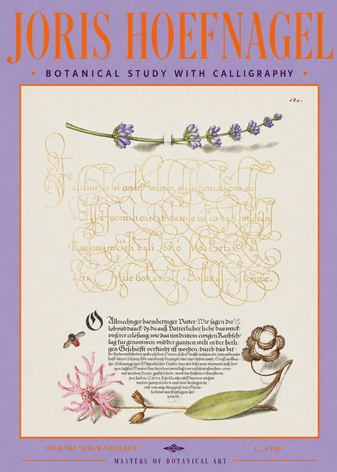 Joris Hoefnagel Botanical Study with Calligraphy IV No3 - Juliste