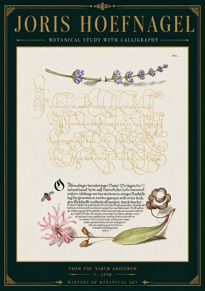 Joris Hoefnagel Botanical Study with Calligraphy IV No4 - Juliste
