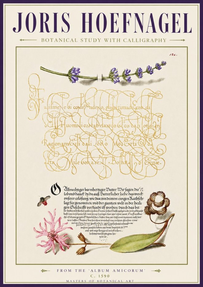 Joris Hoefnagel Botanical Study with Calligraphy IV No5 - Juliste