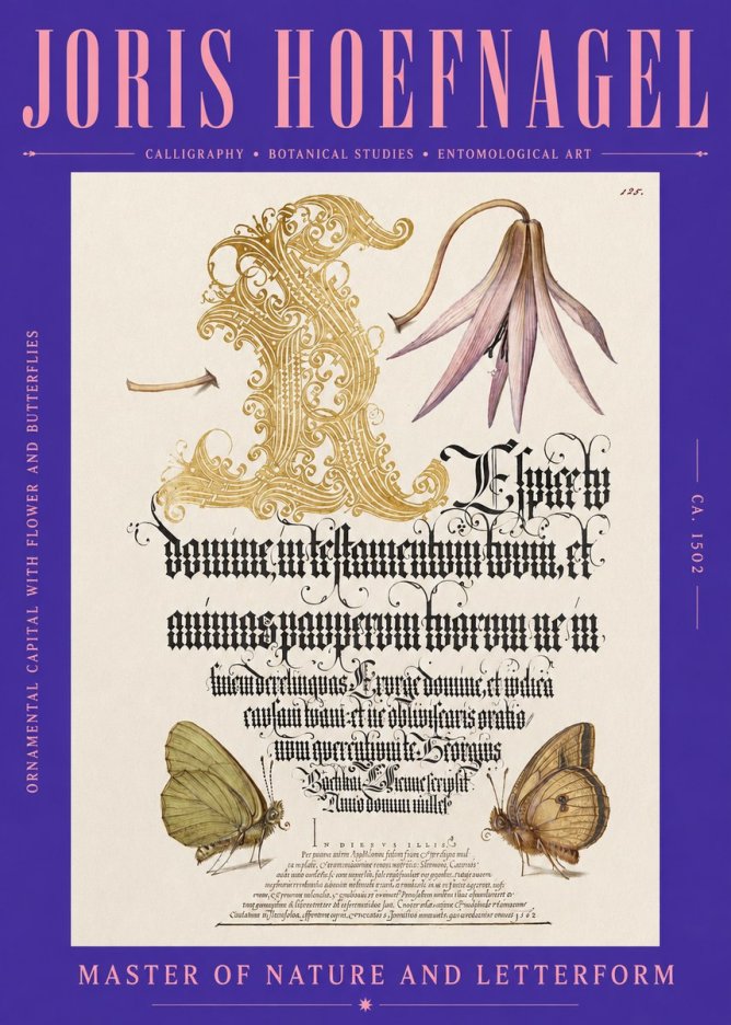 Joris Hoefnagel Ornamental Capital with Flower and Butterflies No2 - Juliste
