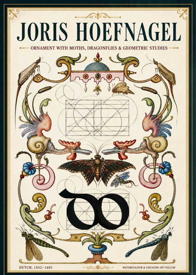 Joris Hoefnagel Ornament with Moths, Dragonflies & Geometric Studies No5 - Juliste