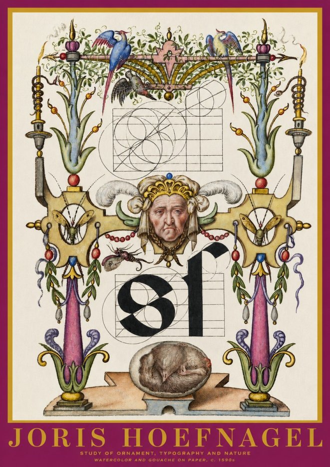 Joris Hoefnagel Mastery in Detail - Renaissance Ornament & Nature Studies No6 - Juliste