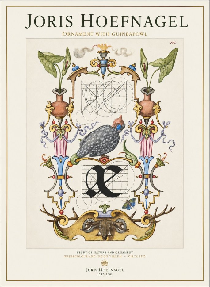Joris Hoefnagel Ornament with Guineafowl No1 - Juliste