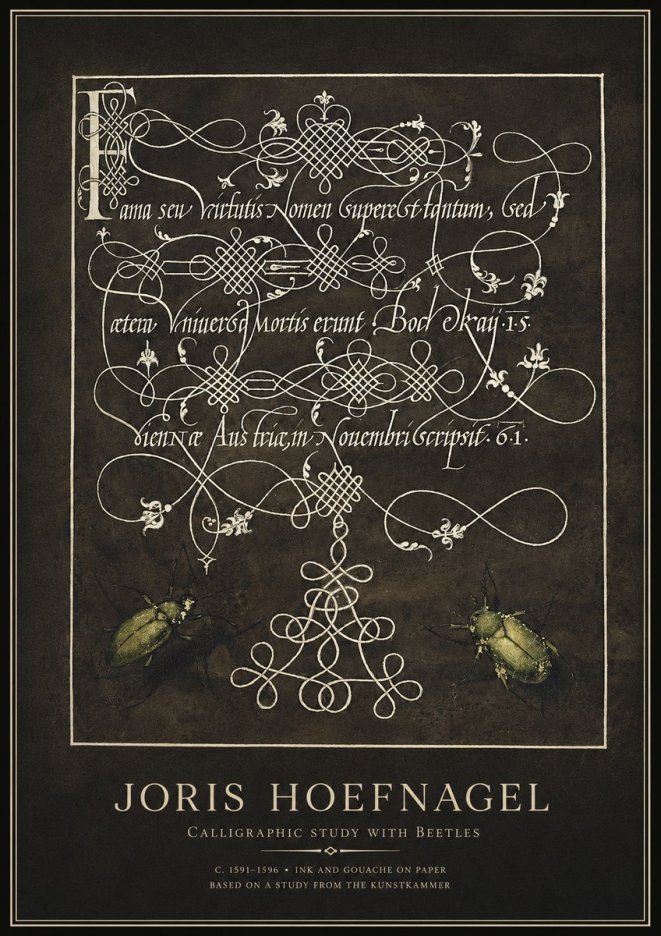 Joris Hoefnagel Calligraphic Study with Beetles No1 - Juliste